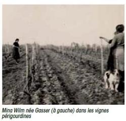 Mina wilm dans les vignes